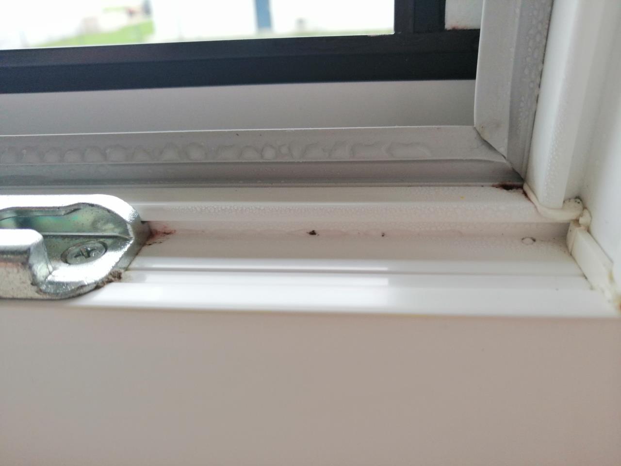 Fenster Schimmel Gummidichtung