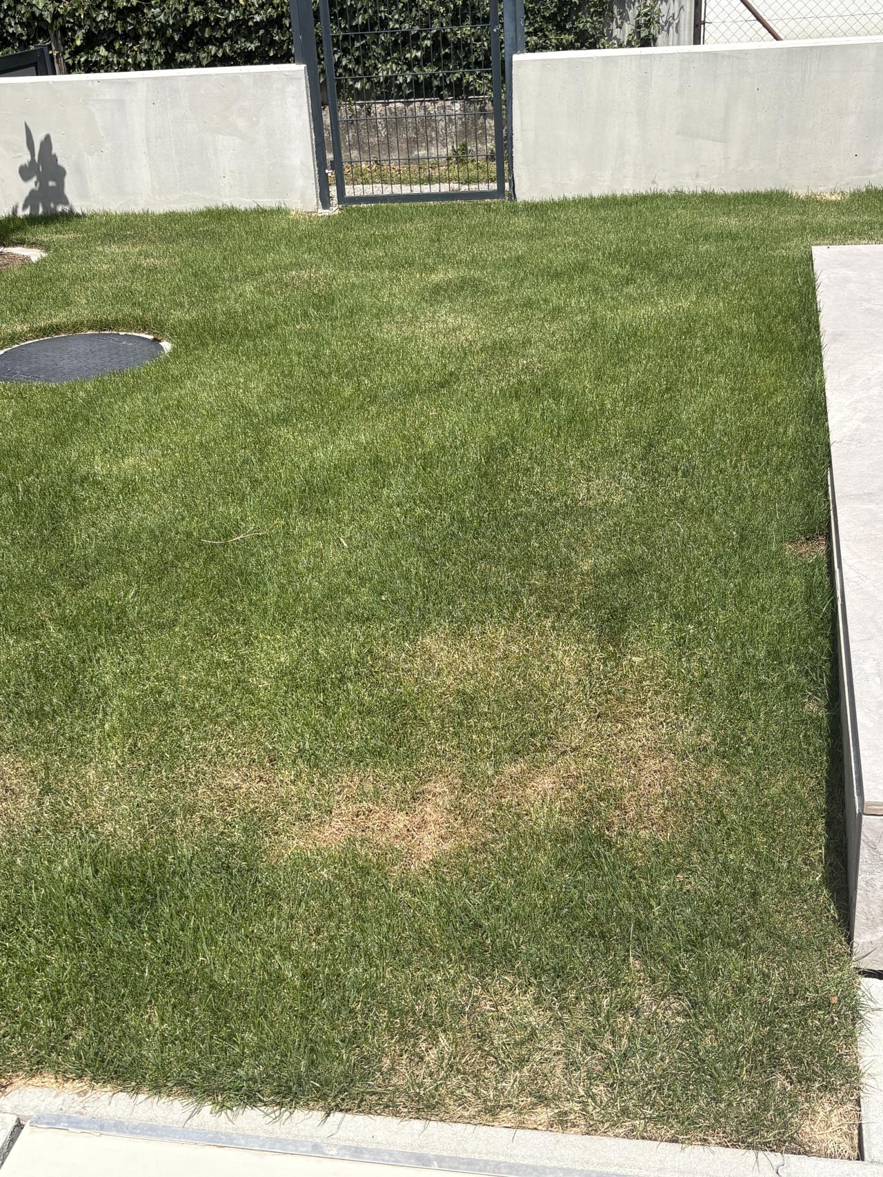2026/20260721676501.jpg