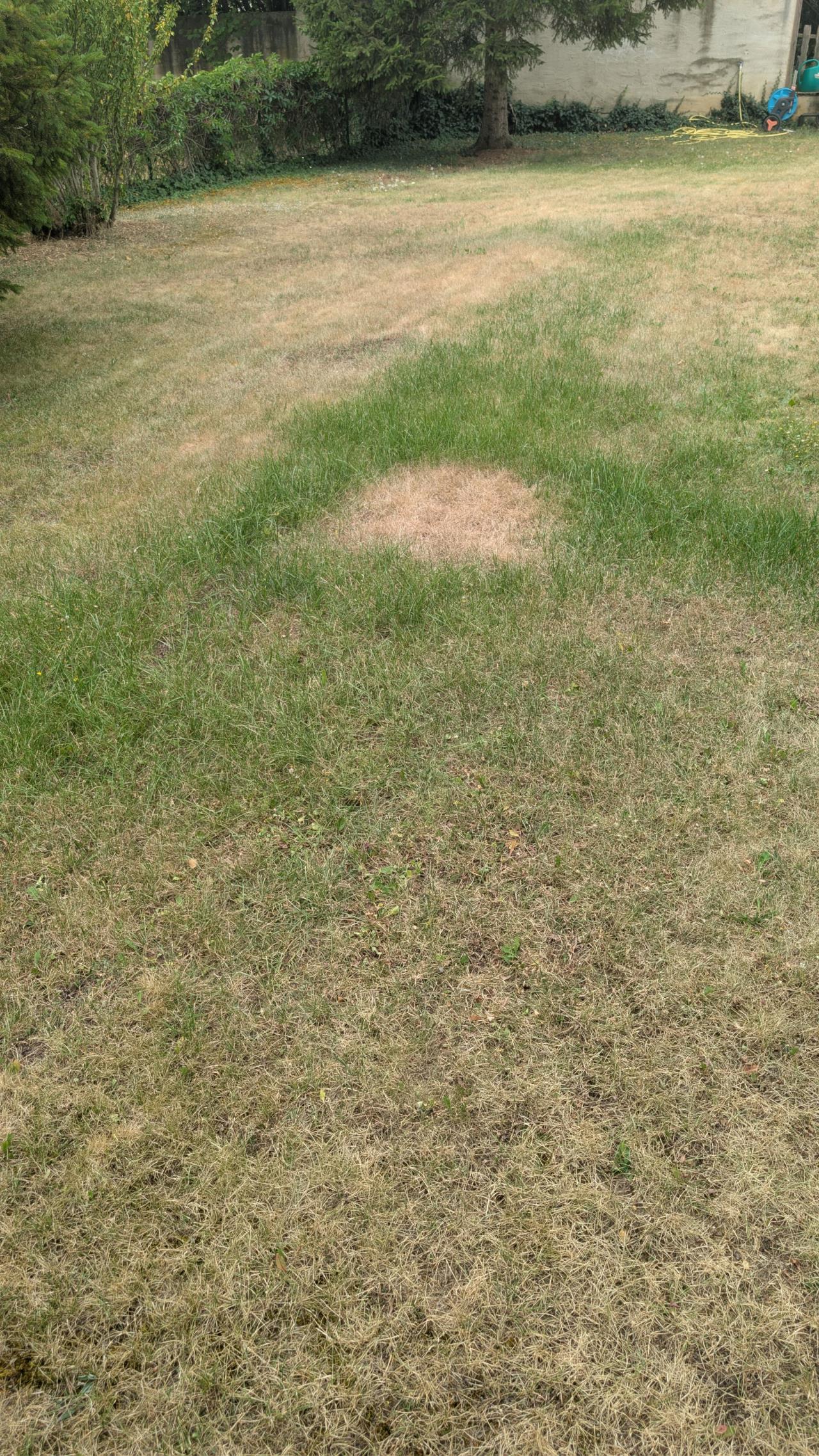 2026/20260802673693.jpg